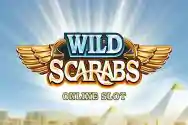 WILD SCARABS?v=6.0